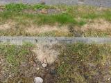 image of grave number 684211